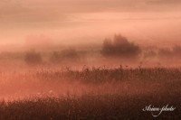 /album/fotogaleria/img-51789-masolata-jpg/